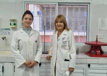 Validarán la calidad microbiológica de la leche de búfala como alternativa productiva regional