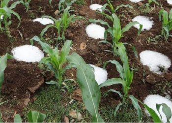 Agua sólida: desarrollo tecnológico para combatir la sequía