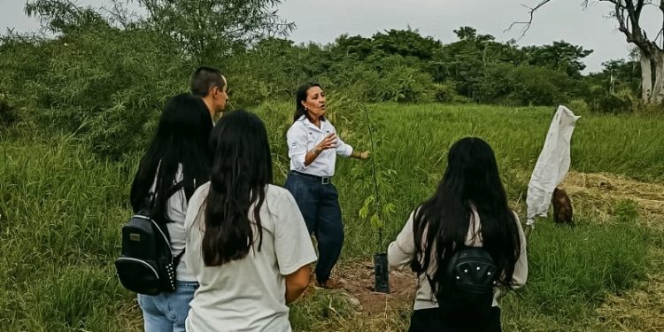 Trazabilidad de semillas: Voluntarios plantan 43 árboles nativos en el Arboretum de la UNNE