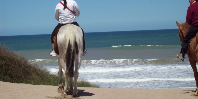 Arboterapia: el magnetismo y la mística del Bosque Energético de Miramar