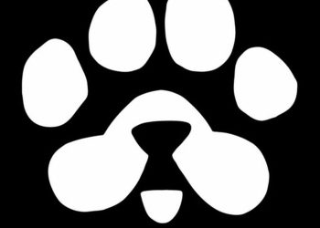 Blum pone en circulación $PAWS y activa un fondo de 250 millones de dólares