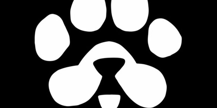 Blum pone en circulación $PAWS y activa un fondo de 250 millones de dólares