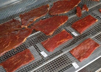 Buscan transformar al charqui en un snack altamente proteico