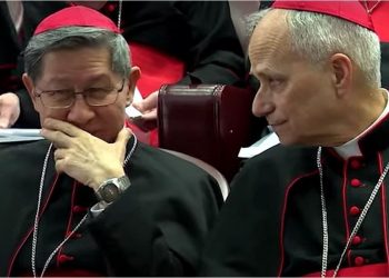 Comenzaron a llegar a Roma los 133 cardenales que elegirán la sucesor del papa Francisco