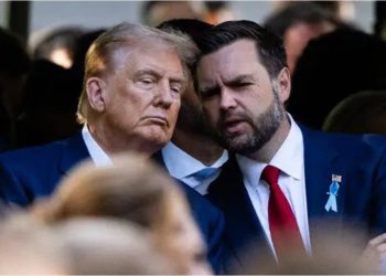 Estados Unidos: la ciudad de Washington y otros 23 estados demandaron al gobierno de Donald Trump por recortes en salud pública