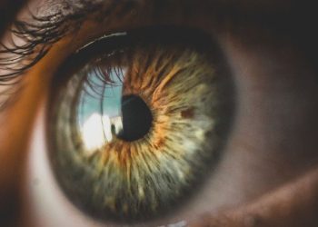 Logran detectar con Inteligencia Artificial la deficiencia atencional a partir de una foto del ojo