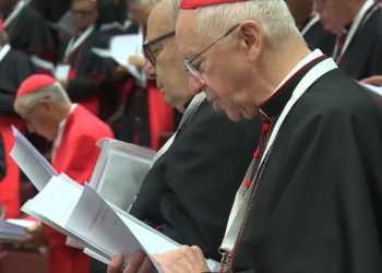 Muerte del papa Francisco: se celebró la cuarta Congregación General de Cardenales en el Vaticano