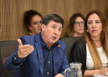 Piden llevar al recinto el proyecto para declarar la Emergencia en Discapacidad