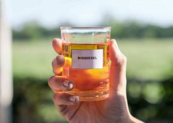 De aceite a biodiesel: la estrategia sustentable de Arcos Dorados