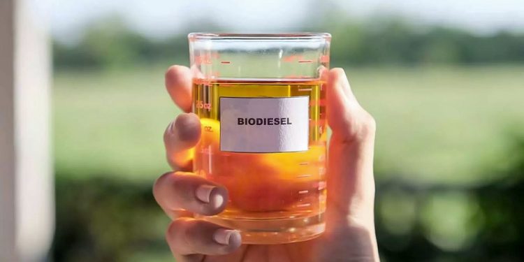 De aceite a biodiesel: la estrategia sustentable de Arcos Dorados
