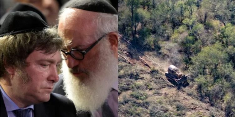 Investigación: Eduardo Elsztain en San Juan: lo acusan por deforestar 170.000 hectáreas de bosques