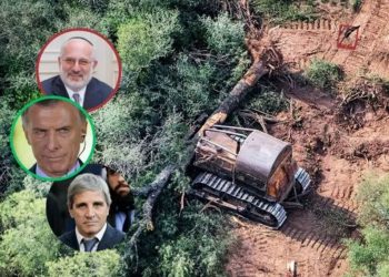 Corrupción: Elsztain, Macri y Caputo denunciados por desmontar 126.500 hectáreas de bosques nativos