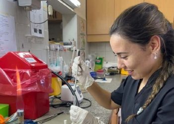 Estudiarán la resistencia a antibióticos en cepas de Escherichia coli de origen animal