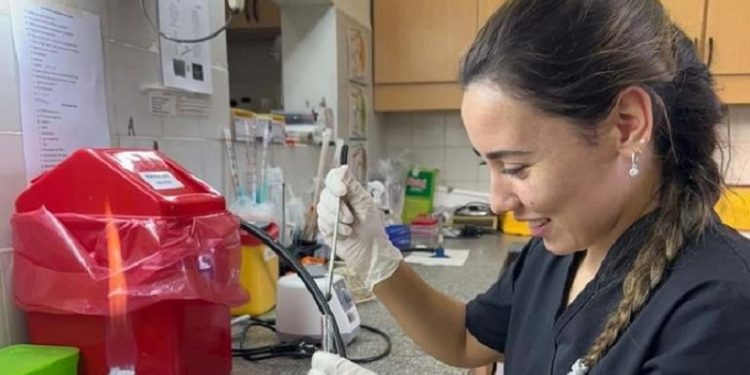 Estudiarán la resistencia a antibióticos en cepas de Escherichia coli de origen animal