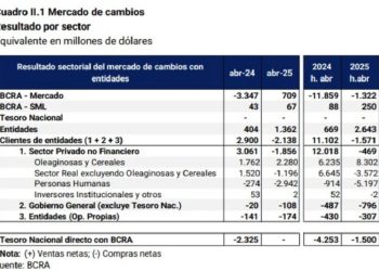Impresionante fuga de dólares: el 56% del total que ya se fugó en lo que va del año