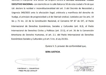 ATE pidió a la Justicia que suspenda el decreto anti huelgas de Javier Milei
