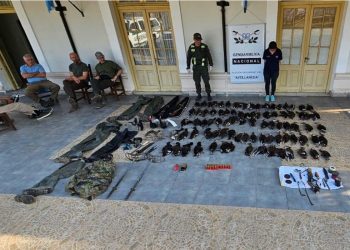 De patos a liebres: el Litoral, un terreno liberado para la caza indiscriminada