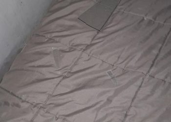 El odio avanza: amenazas y ataque a una familia militante en Río Cuarto