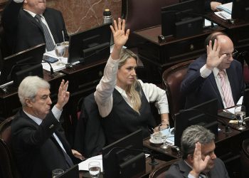 Narcotráfico, torturas, violación: algunos de los delitos que no castigaba el proyecto de Ficha Limpia que rechazó el Senado