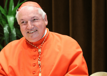 Quién es Jean-Marc Aveline, el cardenal francés que puede ser el sucesor del papa Francisco