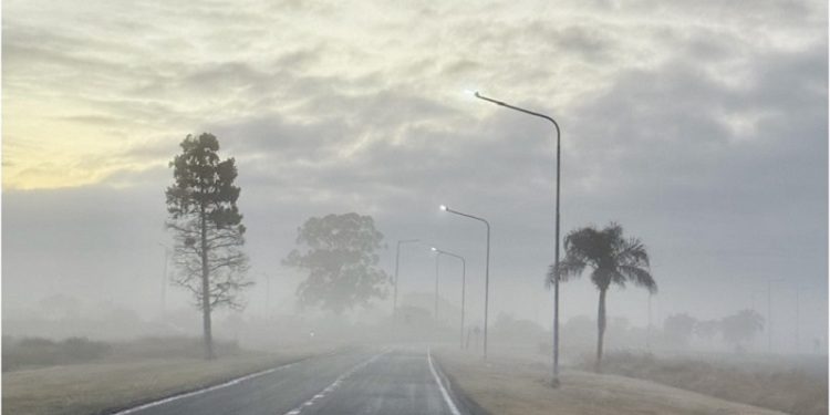 Becaria de Geografía mapeará la Niebla y analizará siete décadas de datos meteorológicos