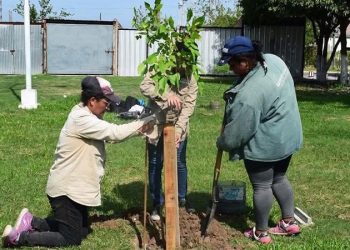 Día Mundial del Ambiente: Barranqueras una ciudad más sustentable