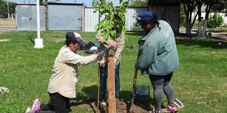 Día Mundial del Ambiente: Barranqueras una ciudad más sustentable