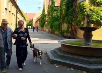 Alemania ofrece alquileres por u$s1 al mes en una villa del siglo XVI: los tres requisitos