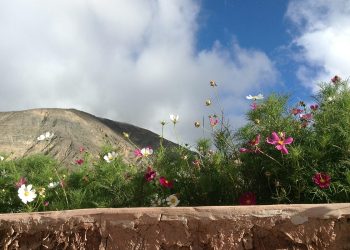 CAME: menos turismo, menos gasto, menos estadía