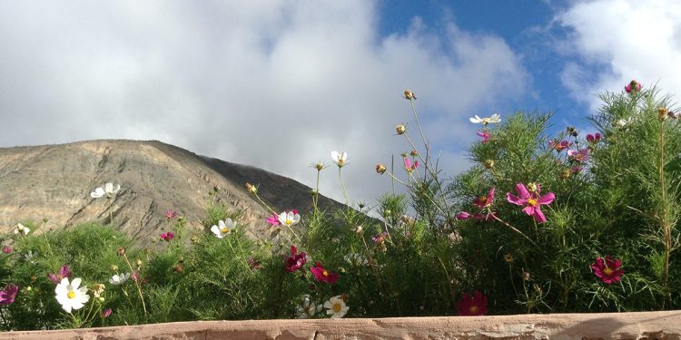 CAME: menos turismo, menos gasto, menos estadía