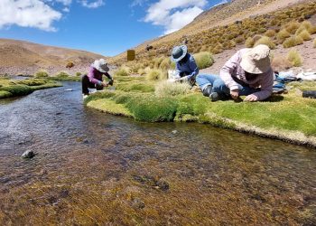 Comenzó la fusión de institutos y organismos científicos estatales: “Es ajuste, motosierra… ¡afuera!”