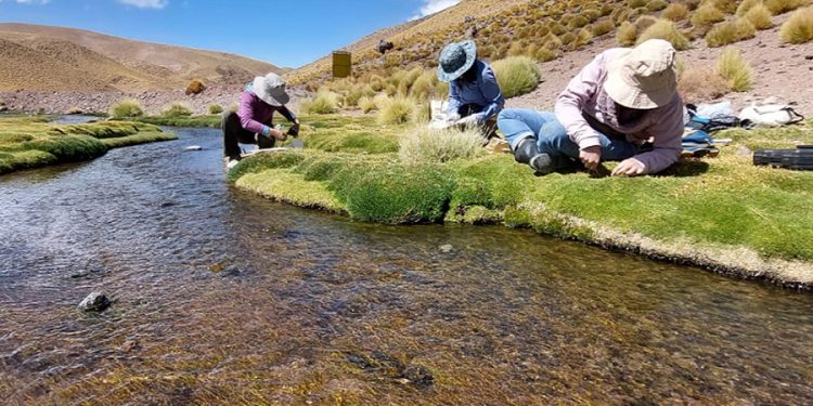 Comenzó la fusión de institutos y organismos científicos estatales: “Es ajuste, motosierra… ¡afuera!”