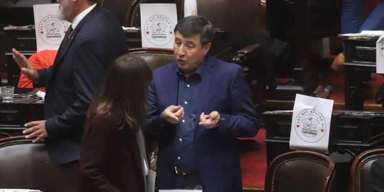 Diputados debate la emergencia en discapacidad, en medio del reclamo nacional