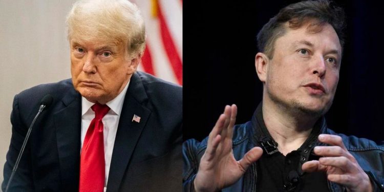 Donald Trump descartó una posible reconciliación con Elon Musk: “Está completamente loco”
