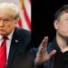 Donald Trump descartó una posible reconciliación con Elon Musk: “Está completamente loco”