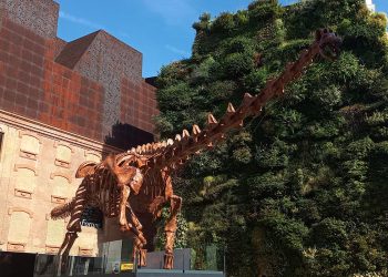 Invierno para las infancias en Buenos Aires: dinos, tranvías, libros y estrellas