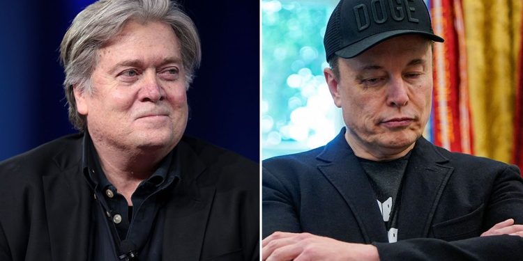 Steve Bannon le pidió a Donald Trump que deporte a Elon Musk y “tome el control de SpaceX”