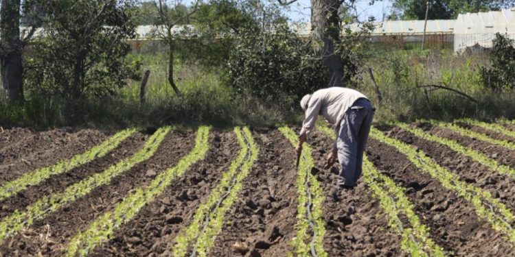 Comunidades rurales reclaman el derecho a decidir sobre su tierra y su futuro