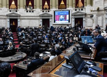 Diputados: la oposición avanzó con el financiamiento universitario y la emergencia en el Garrahan