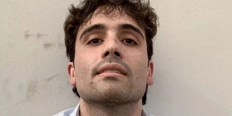 El hijo del “Chapo” Guzmán se declaró culpable en EEUU: qué significa y qué consecuencias puede tener la histórica confesión