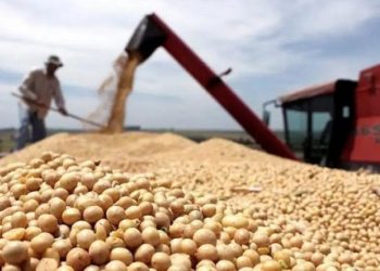 El mito de las retenciones: una comparación sobre las ganancias del campo durante el gobierno de Cristina y el de Milei