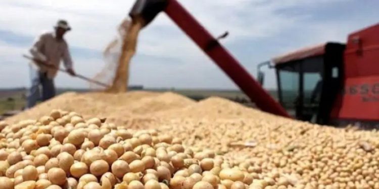 El mito de las retenciones: una comparación sobre las ganancias del campo durante el gobierno de Cristina y el de Milei