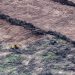 En seis meses se deforestaron ilegalmente más de 30 mil hectáreas en Santiago del Estero y Chaco
