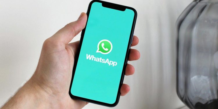 ¿Necesitas más espacio en tu celular? Así podes vaciar la papelera de WhatsApp y olvidarte del problema