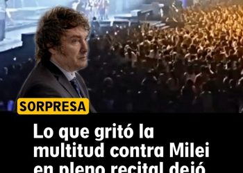 Lo que gritó la multitud contra Milei en pleno recital dejó a todos helados