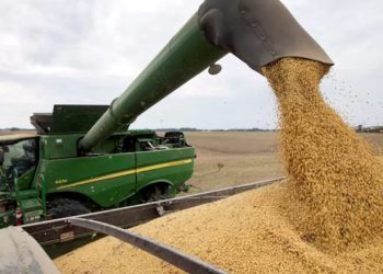 Las expectativas de inversión en el agro cayeron un 40%, mirá el video del informe económico