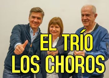Los radicales siguen choreando, no le dejes una caja cerca porque la lustran, mirá el video