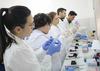 Veterinaria: exitoso taller sobre resistencia antimicrobiana con enfoque práctico y colaborativo
