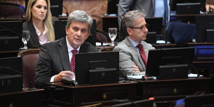 Zimmermann dice que la UCR marcó una posición unánime sobre organismos estratégicos y la emergencia pediátrica