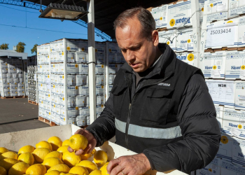 Cambio en el control de alimentos: el Gobierno disolvió la CONAL y sus funciones pasarán al ANMAT y el SENASA